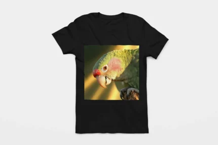 T-shirt PARAKEET (#003)